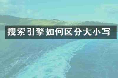 搜索引擎如何区分大小写