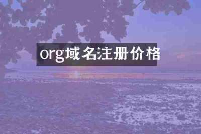 org域名注册价格