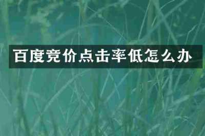 百度竞价点击率低怎么办