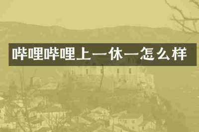 哔哩哔哩上一休一怎么样