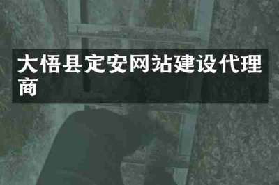 大悟县定安网站建设代理商