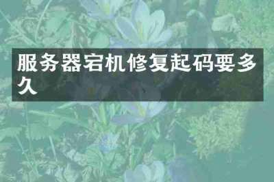 服务器宕机修复起码要多久