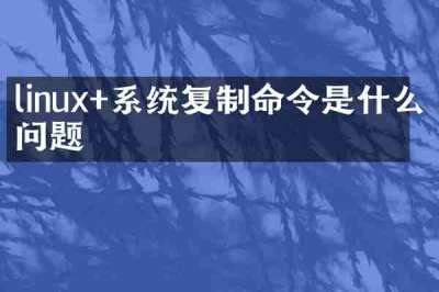 linux+系统复制命令是什么问题