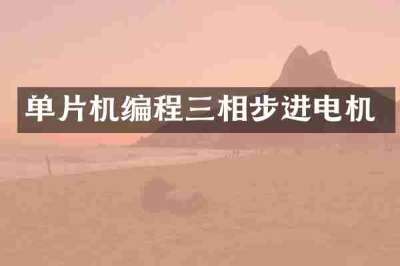 单片机编程三相步进电机