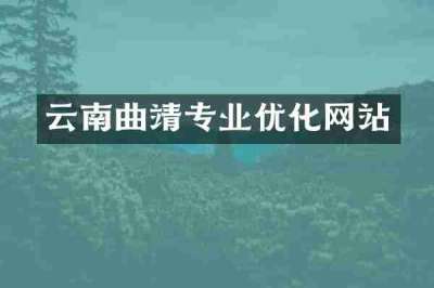 云南曲靖专业优化网站