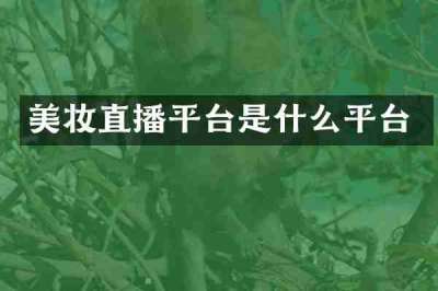 美妆直播平台是什么平台