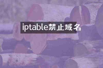 iptable禁止域名