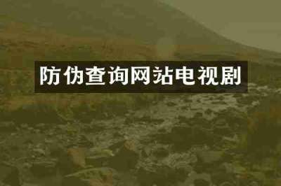 防伪查询网站电视剧