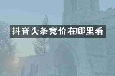 抖音头条竞价在哪里看
