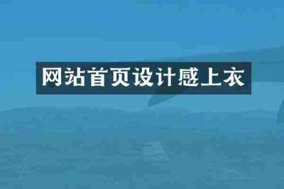 网站首页设计感上衣