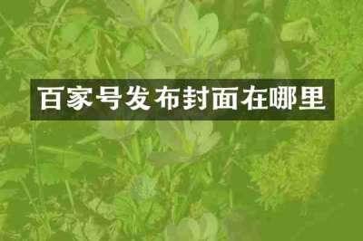 百家号发布封面在哪里