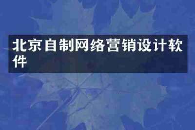 北京自制网络营销设计软件