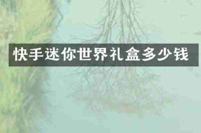 快手迷你世界礼盒多少钱