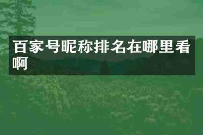 百家号昵称排名在哪里看啊