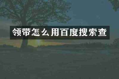 领带怎么用百度搜索查