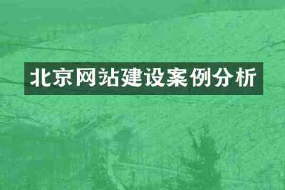 北京网站建设案例分析