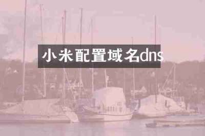 小米配置域名dns