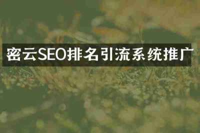密云SEO排名引流系统推广