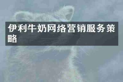 伊利牛奶网络营销服务策略