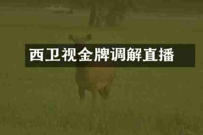 冮西卫视金牌调解直播