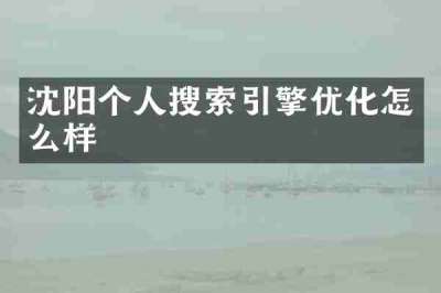 沈阳个人搜索引擎优化怎么样