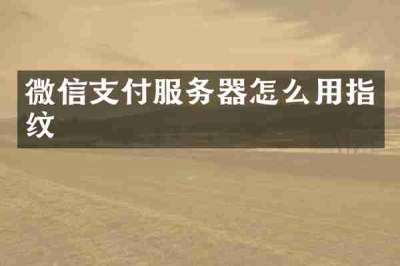 微信支付服务器怎么用指纹