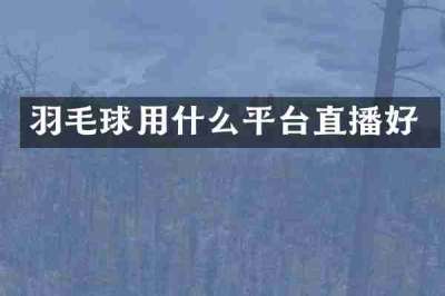 羽毛球用什么平台直播好