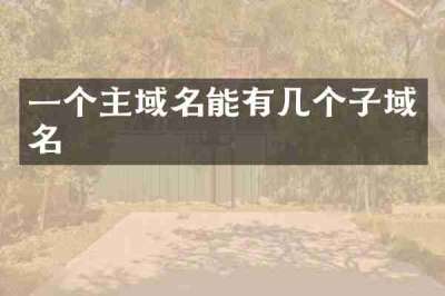 一个主域名能有几个子域名