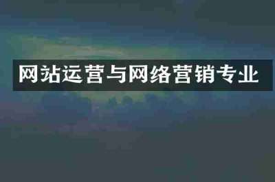 网站运营与网络营销专业