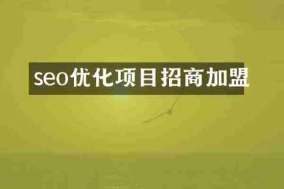 seo优化项目招商加盟