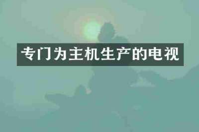 专门为主机生产的电视
