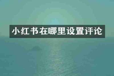 小红书在哪里设置评论