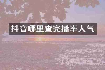 抖音哪里查完播率人气
