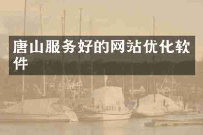 唐山服务好的网站优化软件