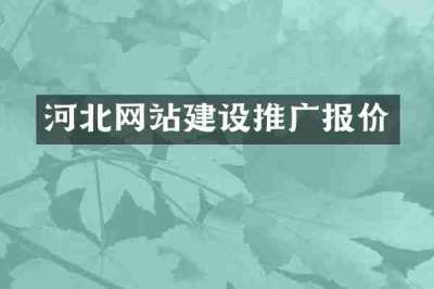 河北网站建设推广报价