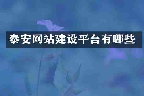 泰安网站建设平台有哪些