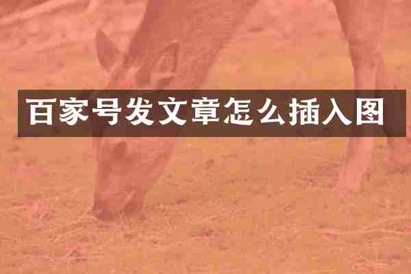 百家号发文章怎么插入图