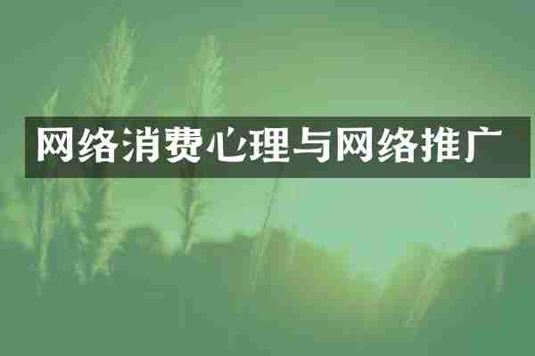 网络消费心理与网络推广