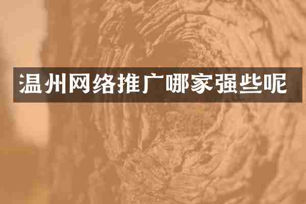 温州网络推广哪家强些呢