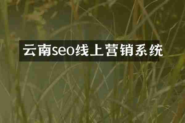 云南seo线上营销系统