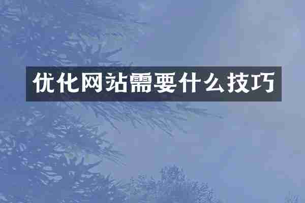 优化网站需要什么技巧