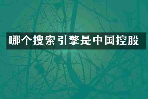 哪个搜索引擎是中国控股