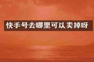 快手号去哪里可以卖掉呀
