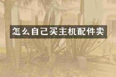 怎么自己买主机配件卖