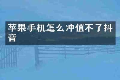 苹果手机怎么冲值不了抖音