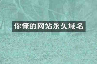 你懂的网站永久域名