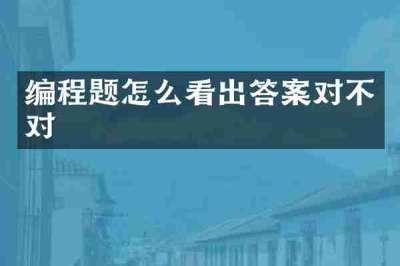 编程题怎么看出答案对不对