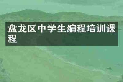 盘龙区中学生编程培训课程