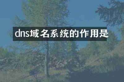 dns域名系统的作用是