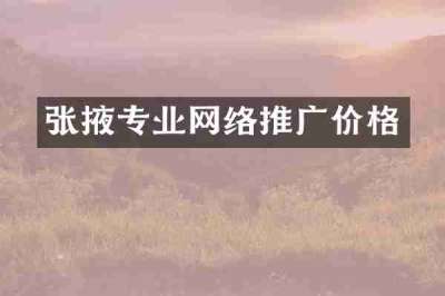 张掖专业网络推广价格